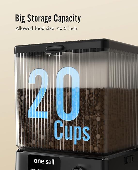 slide image 1