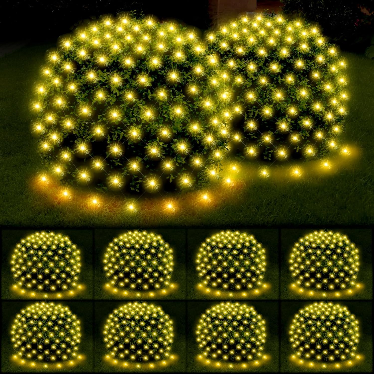 slide image 1